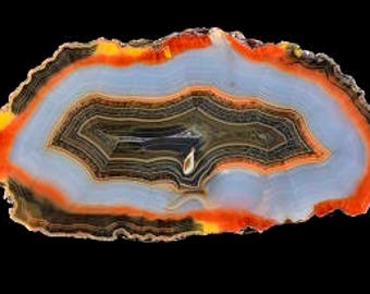 Printable  photograph of unique Condor agate  collector specimen