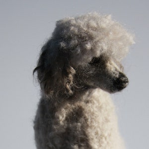 Needle felted wool sculpture of a silver poodle