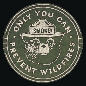 Old School "Only You Can Prevent Wildfires" Smokey the Bear Metal Aluminum Sign Forest Fire Camping Fishing Hiking Campfire Scouting Tin