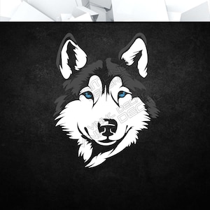 May include: A white wolf with blue eyes, looking directly at the viewer. The wolf's fur is detailed and the background is black.
