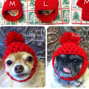 ANY Color, Any Size! Winter Dog Hat * Handmade Crochet * Size XS, Small, Medium, Large, XL *Puppy * Keeps Ears Warm!