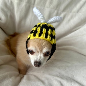 ANY Size Bumble Bee Dog Hat Handmade Crochet Size XS, Small, Medium, Large, Extra Large Puppy Cat Halloween Costume image 6