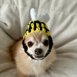 ANY Size Bumble Bee Dog Hat Handmade Crochet Size XS, Small, Medium, Large, Extra Large Puppy Cat Halloween Costume image 7
