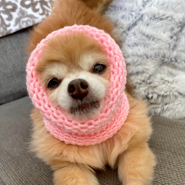 ANY Color! XS Extra Small Knit Dog Snood Scarf Hat