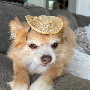 Cowboy Straw Hat for Dogs and Cats