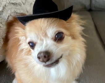 Small Cowboy Hat for Dogs and Cats