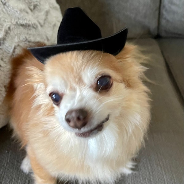 Small Cowboy Hat for Dogs and Cats