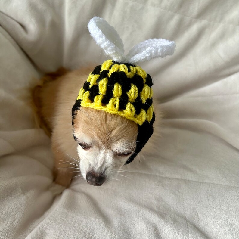 ANY Size Bumble Bee Dog Hat Handmade Crochet Size XS, Small, Medium, Large, Extra Large Puppy Cat Halloween Costume image 3