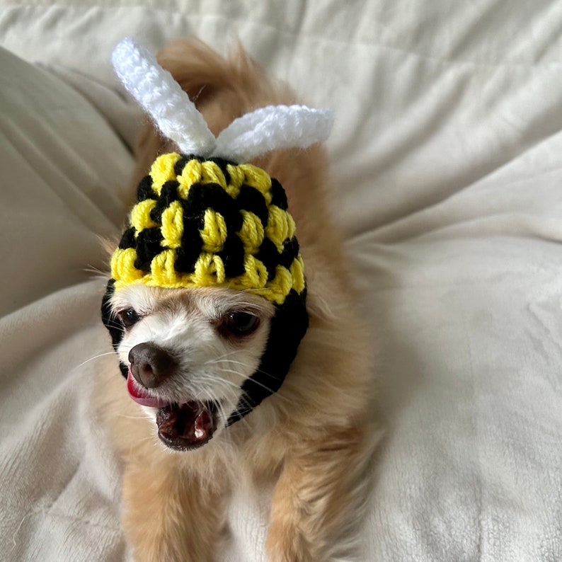 ANY Size Bumble Bee Dog Hat Handmade Crochet Size XS, Small, Medium, Large, Extra Large Puppy Cat Halloween Costume image 4