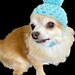 see more listings in the Pet Apparel section