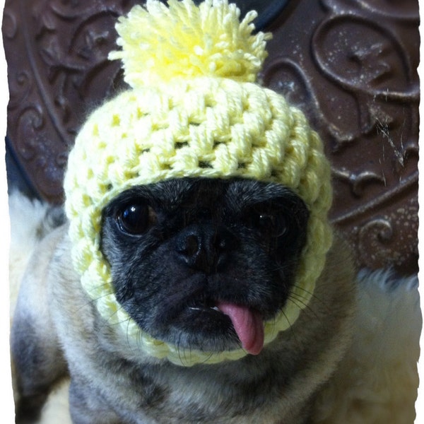 Cute Puppy Winter Hat with Ears