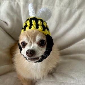 ANY Size Bumble Bee Dog Hat Handmade Crochet Size XS, Small, Medium, Large, Extra Large Puppy Cat Halloween Costume image 5