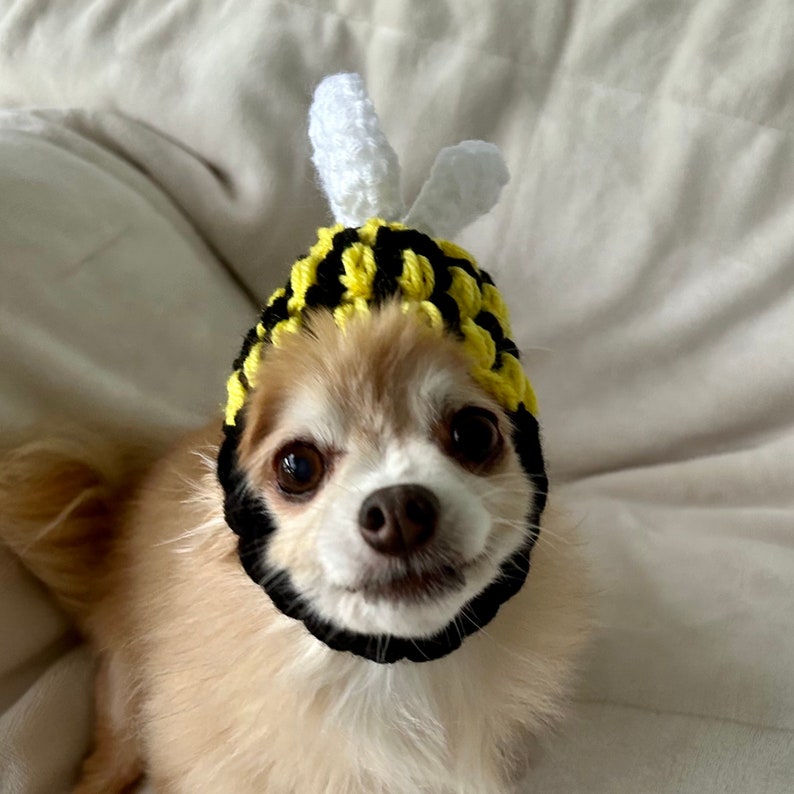 ANY Size Bumble Bee Dog Hat Handmade Crochet Size XS, Small, Medium, Large, Extra Large Puppy Cat Halloween Costume image 8