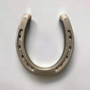 Single Horseshoe
