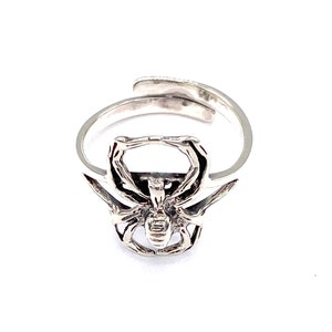 May include: A silver adjustable ring featuring a detailed spider design.