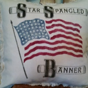 Americana  16”x16”  Star Spangled Banner Cotton Canvas Pillow Cover