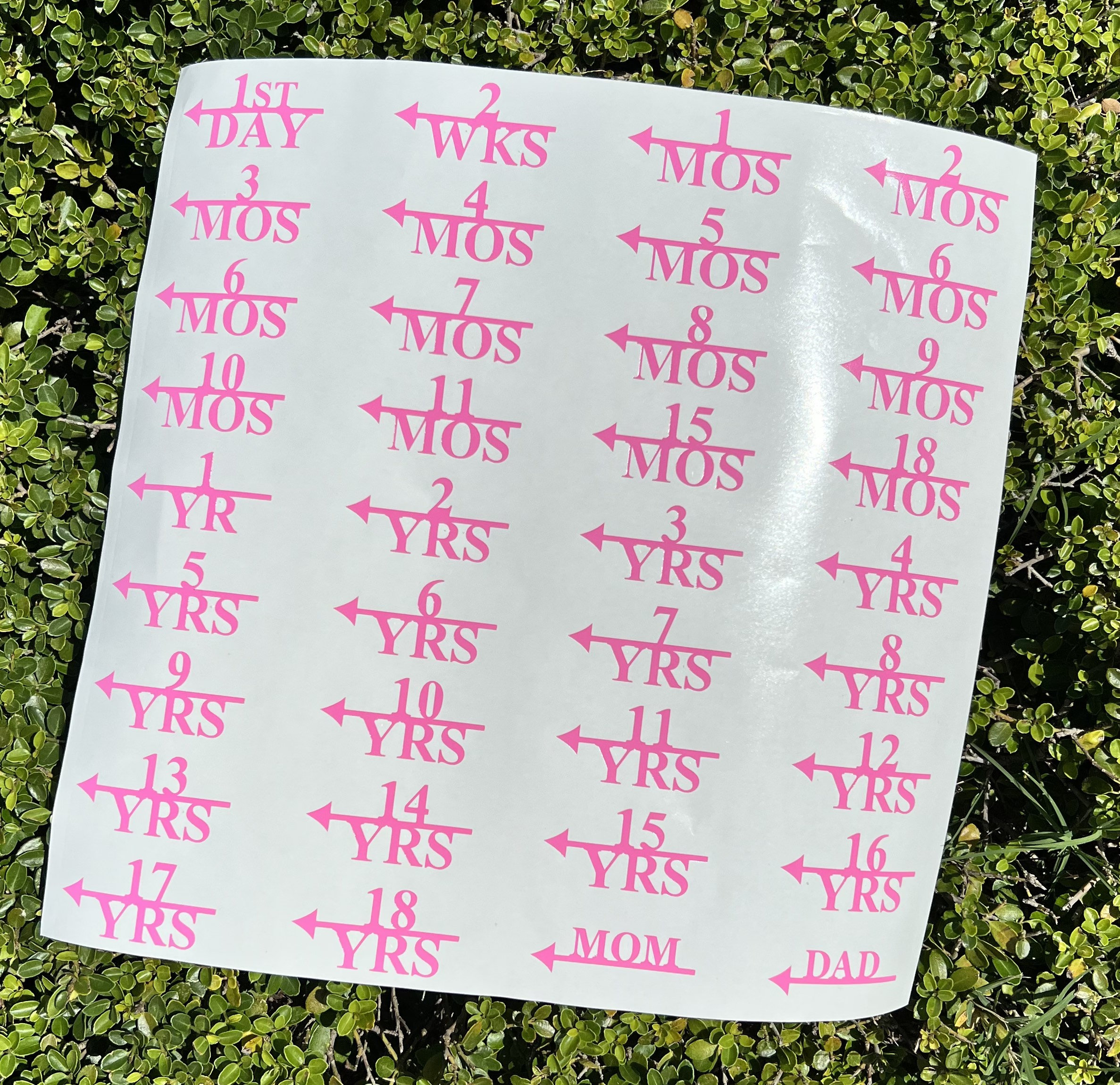 Growth Chart Markers Height Marker Decals Etsy