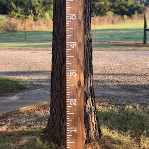 DIY Vinyl Growth Chart Decals 6&#39; // Pick Your Color // Growth Chart Ruler