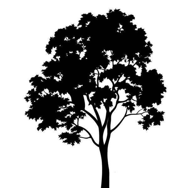 Maple Tree Clip Art Digital Download JPG, SVG, & PNG