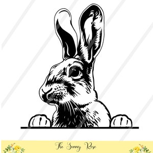 Paashaas konijn SVG digitale download voor Cricut, cameo, silhouet