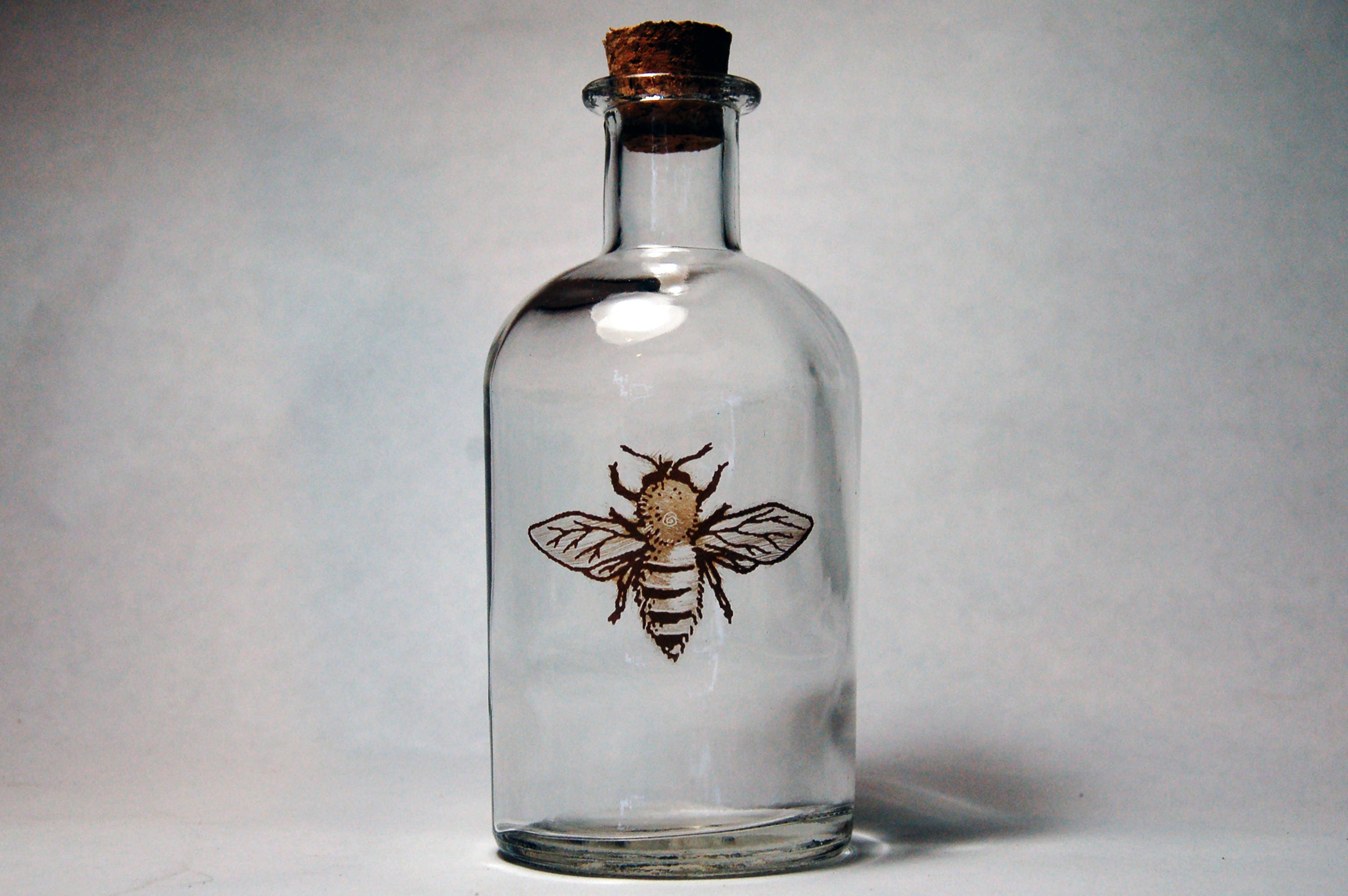 Apothecary Bottle // Apothecary Bee Bottle // Honey Bee Bottle Etsy