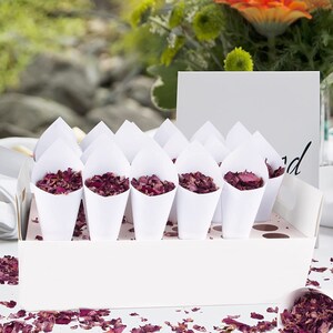 Craft Paper Petal Cones for Wedding, Already Rolled Set of 100