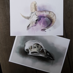 Postcards Skull image 1