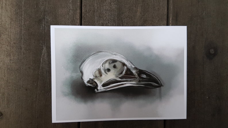Postcards Skull Vogel
