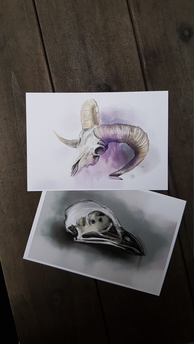 Postcards Skull image 1