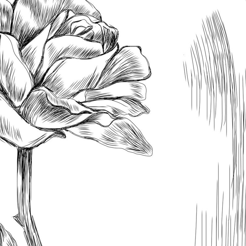 May include: A black and white line drawing of a single rose with a long stem.