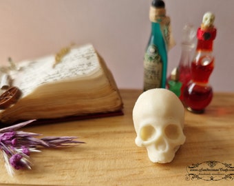 Dollhouse miniatures-Miniature skull in 1:12 scale-Miniature resin skull-Witchcraft-Fantasy-Altar-Magic-Witch-Spells-Ritual-Wicca-Beige