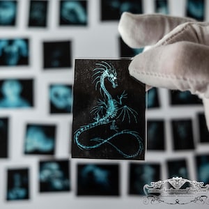 Dollhouse miniature x rays of Dragons-1/12 scale-1/6 scale-1/24 scale-Four slides printed on transparent see-through clear film/ acetate
