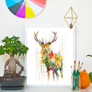 DEER - RAINING COLOURS *Limited Edition Giclée Print on Watercolour Paper - 300gsm.