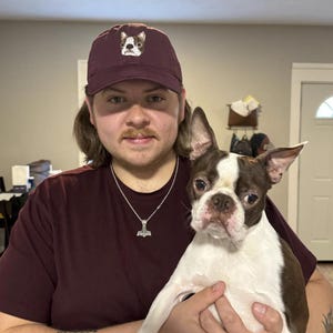Op de afbeelding: Een persoon draagt een bordeauxrode baseballpet met een geborduurde witte en bruine hond op de voorkant. De persoon houdt een bruine en witte Boston Terrier vast.