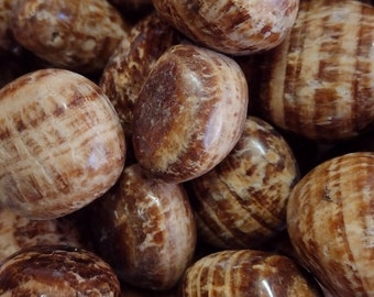 Aragonite Egg Ethereal Opus Design