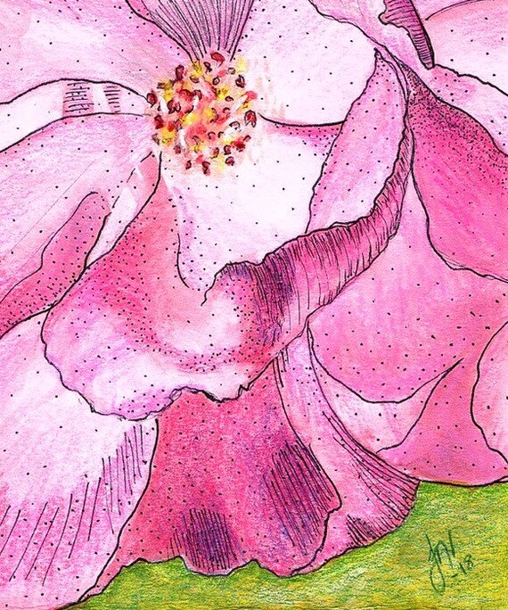 Rose Rose Fleur Mixte Dessin Fleur Rose Peinture Originale