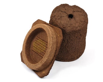 Wood Pulp Honeybee Swarm Trap