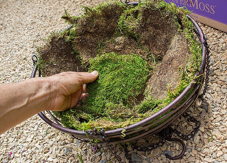 Super Moss Sheet Moss Green
