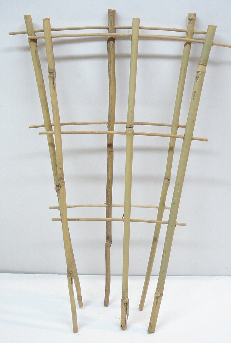 Natural Color Bamboo Trellis 18 inches Tall Etsy