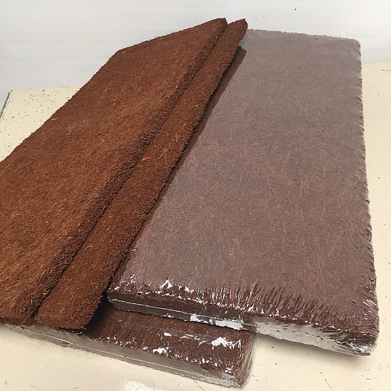 Fern Wood New Zealand Tree Fern Orchid Board Panel 12x12x1 Etsy Singapore