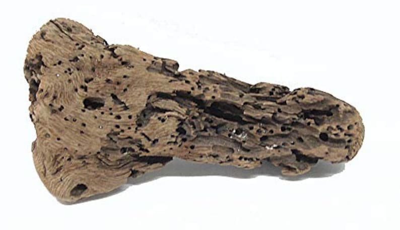Point St George CA Driftwood #24