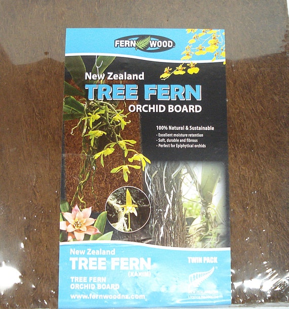 Fern Wood New Zealand Tree Fern Orchid Board Panel 12x12x1 Etsy Singapore