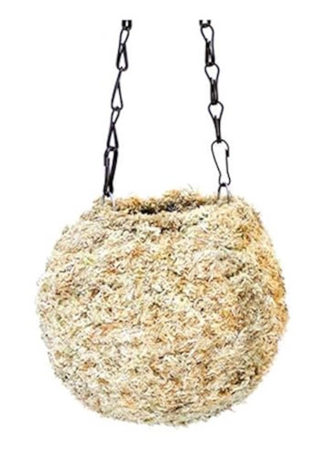 Orchid Supply Store Kokedama Sphagnum Moss Balls 6 Inches Blond Etsy