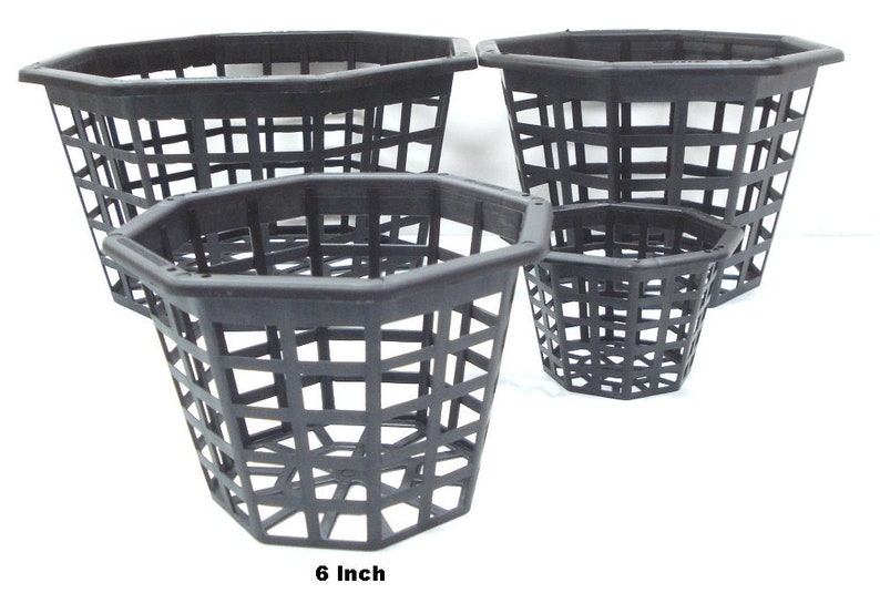6 Inch Black Octagon Plastic Orchid Basket Etsy