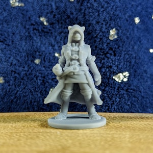 Catfolk Rogue Miniature: 3D Printed Tabaxi for D&D