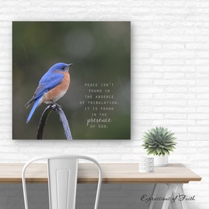 Presence of God Bluebird Wall Art Decor, Scripture Photography Bluebird Canvas Plaque or Print, Faith Based Home Decor, Expressions of Faith