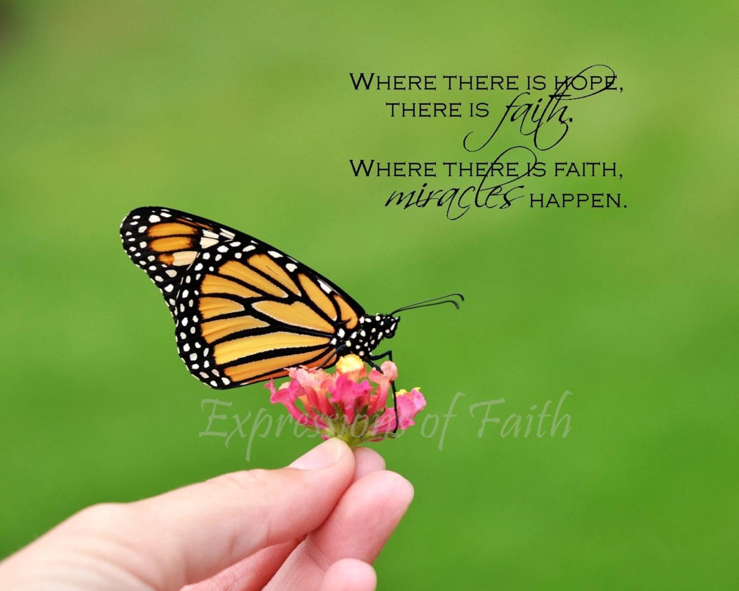 Scripture Wall Art Butterfly Photography Bible Verse Wood Etsy