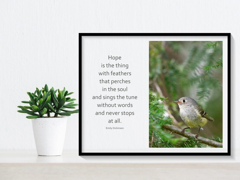 Inspirational Wall Art Hope is the Thing With Feathers Quote Etsy