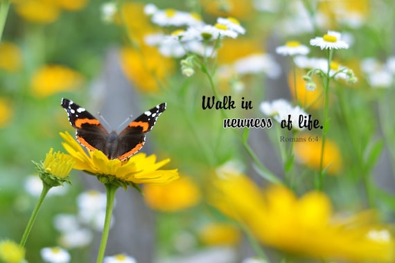 Scripture Wall Art Bible Verse Wood Wall Plaque Christian Etsy