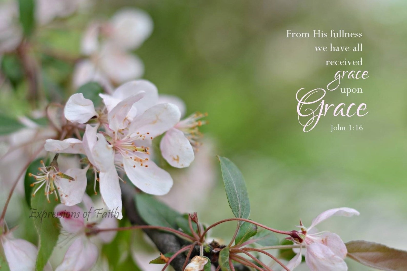 Grace Upon Grace Bible Verse Wall Art Decor, John 116, Scripture Photo